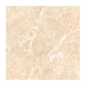 Gạch Porcelain Thắng Cường 60x60 A6605