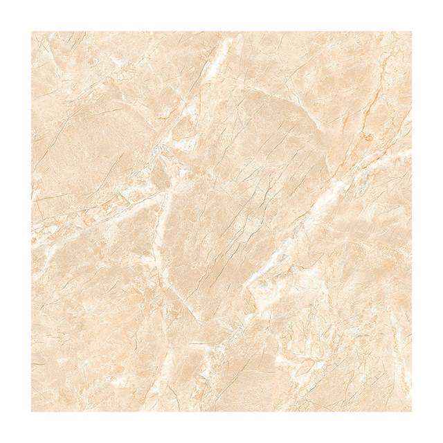 Gạch Porcelain Thắng Cường 60x60 A6605