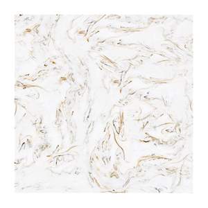 Gạch Porcelain Thắng Cường 60x60 A6609