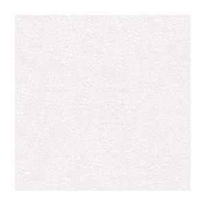 Gạch Porcelain Thắng Cường 60x60 BD606916