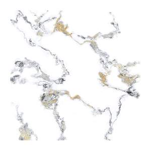 Gạch Porcelain Thắng Cường 60x60 DT6601