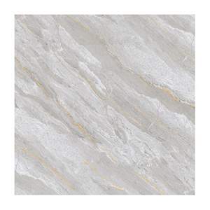 Gạch Porcelain Thắng Cường 60x60 DT6602