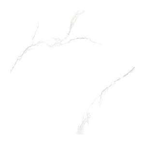 Gạch Porcelain Thắng Cường 60x60 HQ6602