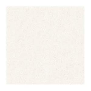 Gạch Porcelain Thắng Cường 60x60 LGP-6066