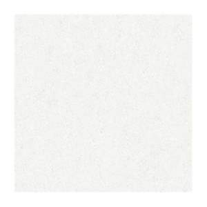 Gạch Porcelain Thắng Cường 60x60 LGP-6067