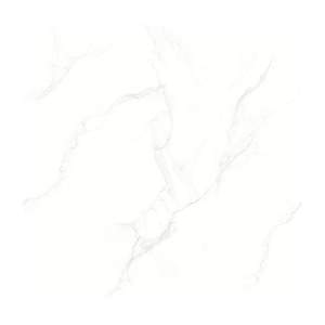 Gạch Porcelain Thắng Cường 60x60 LGP6069