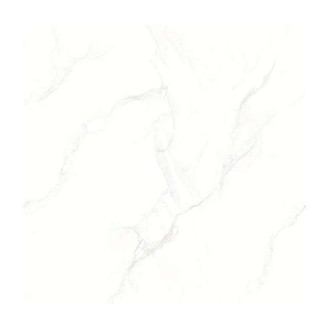 Gạch Porcelain Thắng Cường 60x60 LGP6069