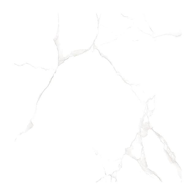 Gạch Porcelain Thắng Cường 60x60 TRT6813T