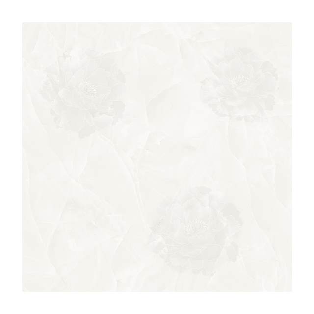 Gạch Porcelain Thắng Cường 60x60 NC601