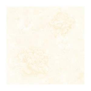 Gạch Porcelain Thắng Cường 60x60 NC602