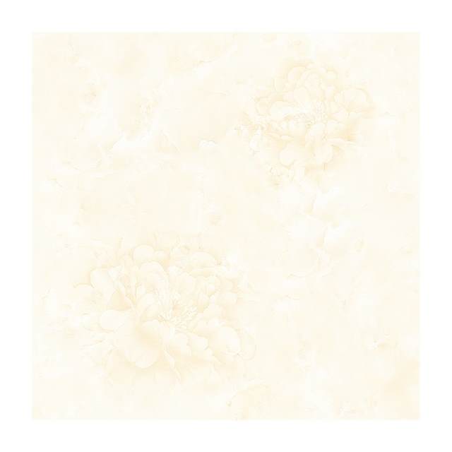 Gạch Porcelain Thắng Cường 60x60 NC602