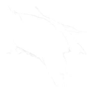 Gạch Porcelain Thắng Cường 60x60 NC606