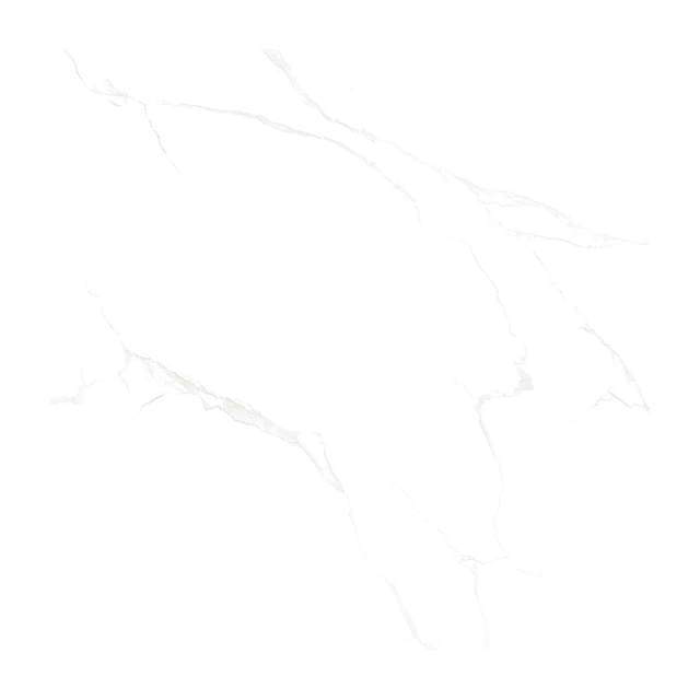 Gạch Porcelain Thắng Cường 60x60 NC606