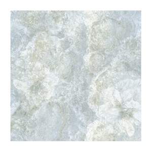 Gạch Porcelain Thắng Cường 60x60 NHT605