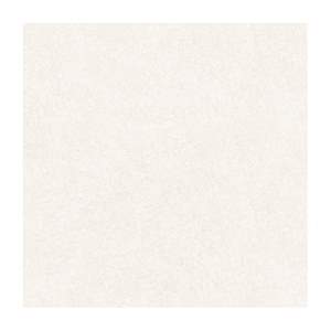 Gạch Porcelain Thắng Cường 60x60 NS609