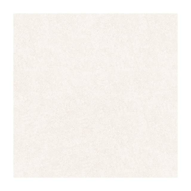 Gạch Porcelain Thắng Cường 60x60 NS609