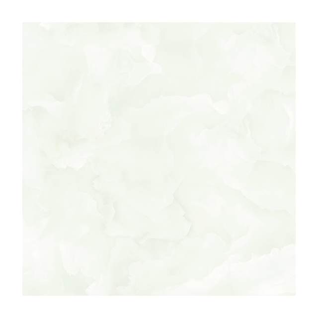 Gạch Porcelain Thắng Cường 60x60 NS611