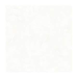 Gạch Porcelain Thắng Cường 60x60 QLP602