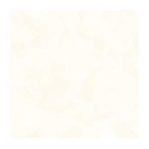 Gạch Porcelain Thắng Cường 60x60 QLP604