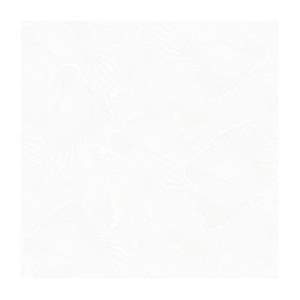 Gạch Porcelain Thắng Cường 60x60 QLP606