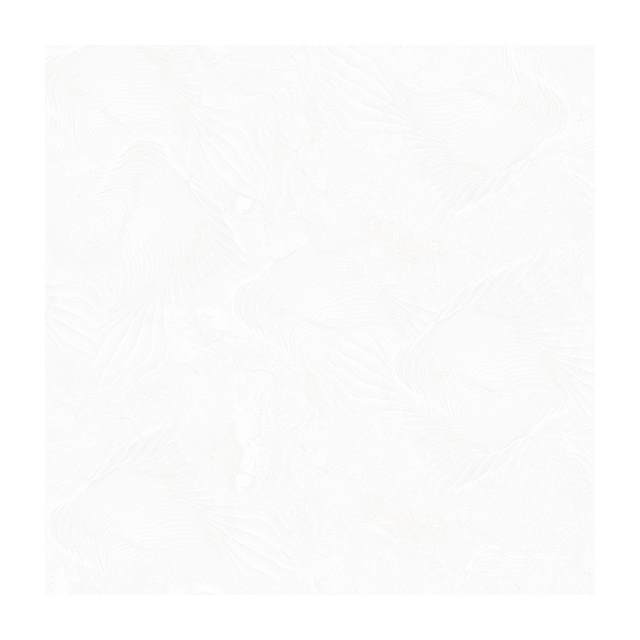 Gạch Porcelain Thắng Cường 60x60 QLP606