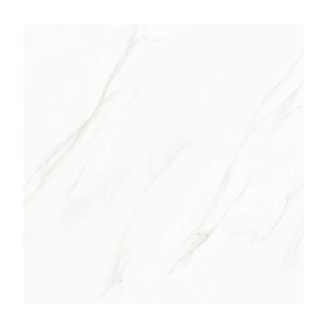 Gạch Porcelain Thắng Cường 60x60 QLP609