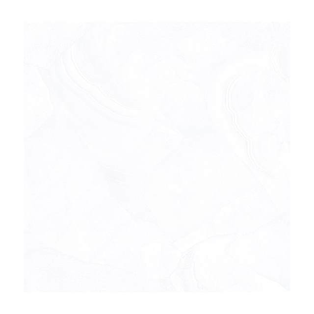 Gạch Porcelain Thắng Cường 60x60 QLP611