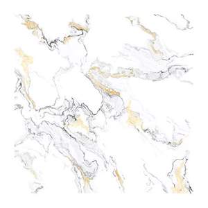 Gạch Porcelain Thắng Cường 60x60 QLP624