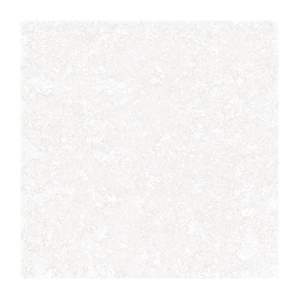 Gạch Porcelain Thắng Cường 60x60 QT66208