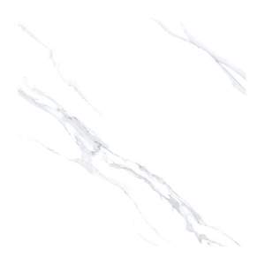 Gạch Porcelain Thắng Cường 60x60 TCH668006