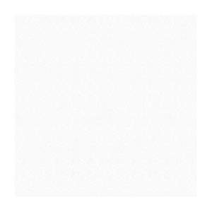 Gạch Porcelain Thắng Cường 60x60 TCH668007