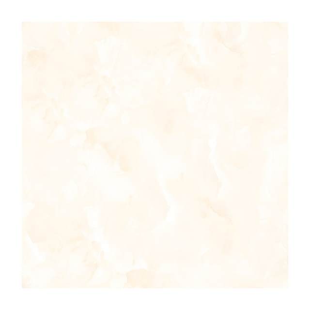 Gạch Porcelain Thắng Cường 60x60 TIN6110