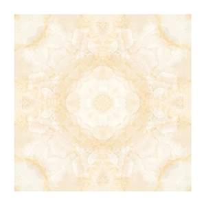 Gạch Porcelain Thắng Cường 60x60 TN6802