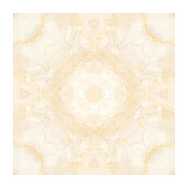 Gạch Porcelain Thắng Cường 60x60 TN6802