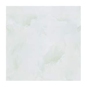Gạch Porcelain Thắng Cường 60x60 TN6806