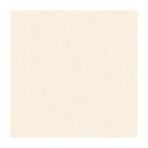 Gạch Porcelain Thắng Cường 60x60 TRT6801