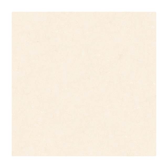 Gạch Porcelain Thắng Cường 60x60 TRT6801