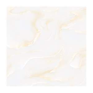Gạch Porcelain Thắng Cường 60x60 TRT6834