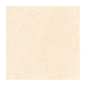 Gạch Porcelain Thắng Cường 80x80 8802