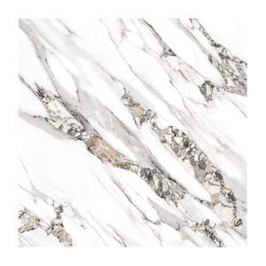 Gạch Porcelain Thắng Cường 80x80 8816