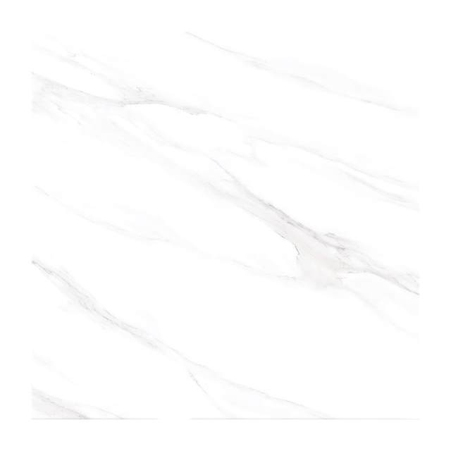 Gạch Porcelain Thắng Cường 80x80 A8609
