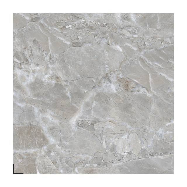 Gạch Porcelain Thắng Cường 80x80 A8610