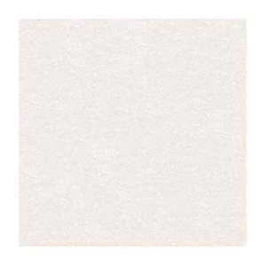 Gạch Porcelain Thắng Cường 80x80 BD8521