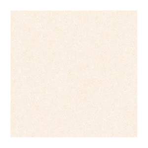 Gạch Porcelain Thắng Cường 80x80 BD8526