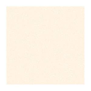 Gạch Porcelain Thắng Cường 80x80 M8800