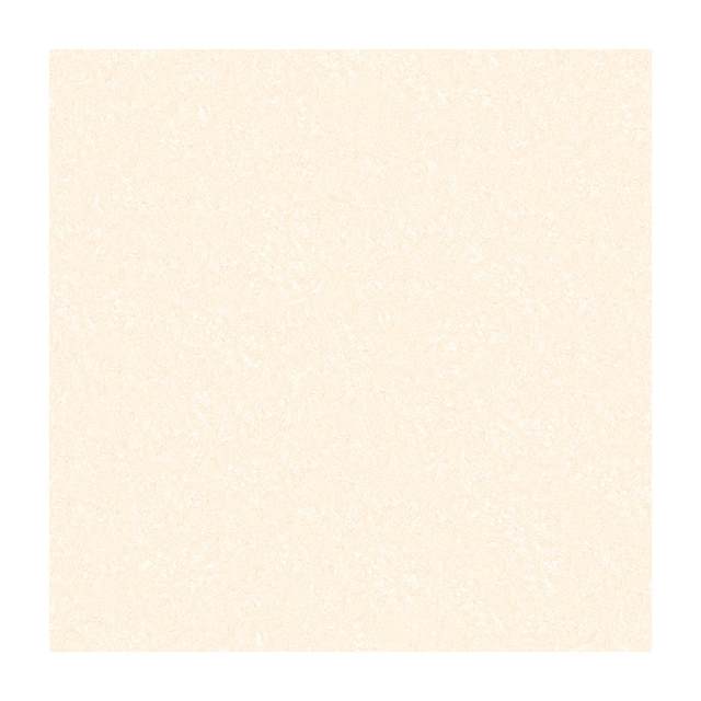 Gạch Porcelain Thắng Cường 80x80 M8800