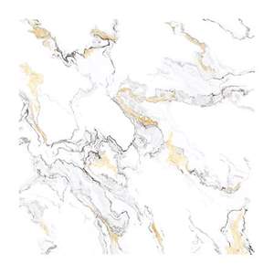 Gạch Porcelain Thắng Cường 80x80 QLP8824