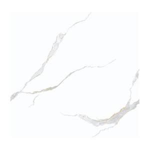 Gạch Porcelain Thắng Cường 80x80 QLP8829