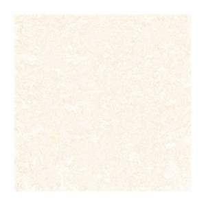 Gạch Porcelain Thắng Cường 80x80 QT88203