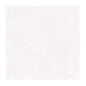 Gạch Porcelain Thắng Cường 80x80 QT88208